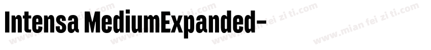 Intensa MediumExpanded字体转换